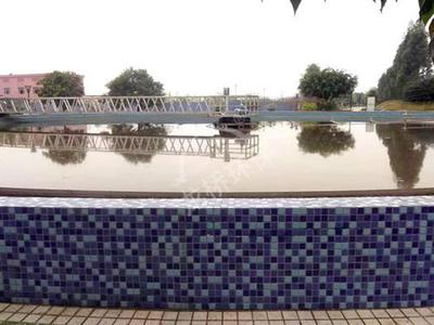 ZBG Peripheral Drive Mud Scraper